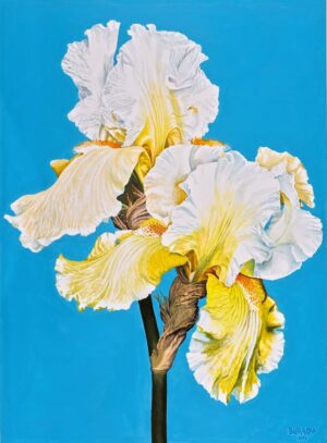 Detailed painting of an iris flower