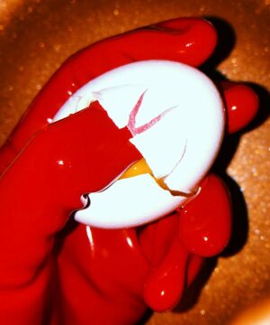 A hand wearing a red rubber glove holds a cracked egg with the contents still contained and inserts the thumb into the crack of the shell